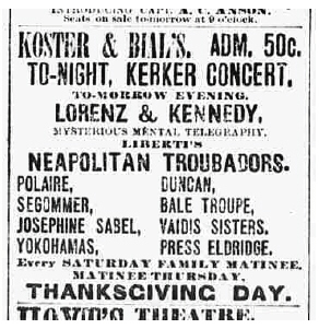 Advertisement in The Sun – Novembre 24, 1895